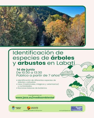 Image Arboles